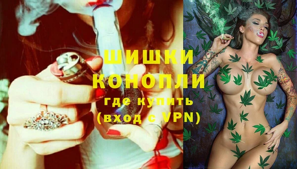 спайс Баксан